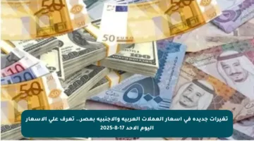 تغيرات جديدة في أسعار العملات العربية والأجنبية بمصر.. تعرف على الأسعار اليوم الأحد 17-8-2025